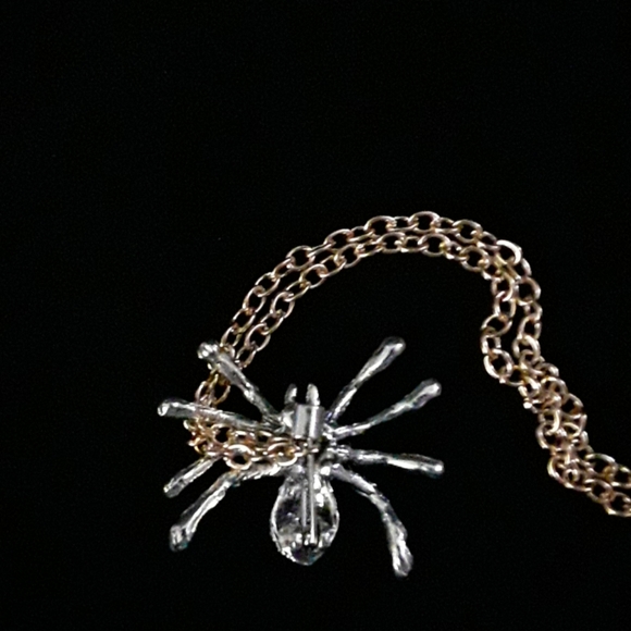 SPIDER NECKLACE or BROOCH - Picture 6 of 8
